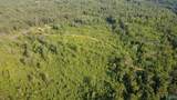 199 Acres Hornbuckle Road - Photo 19