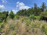 199 Acres Hornbuckle Road - Photo 2