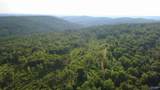 199 Acres Hornbuckle Road - Photo 20