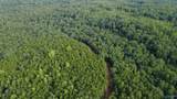 199 Acres Hornbuckle Road - Photo 21