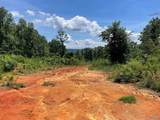 199 Acres Hornbuckle Road - Photo 3