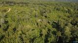 199 Acres Hornbuckle Road - Photo 7