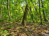 58 Acres Naples Lane - Photo 25