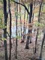 15 Acres County Road 216 - Photo 14