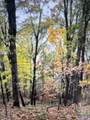 15 Acres County Road 216 - Photo 15