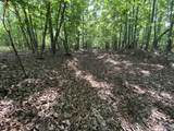 15 Acres County Road 216 - Photo 2