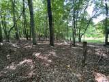 15 Acres County Road 216 - Photo 4