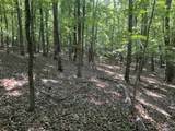 15 Acres County Road 216 - Photo 5