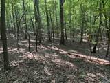 15 Acres County Road 216 - Photo 6