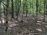 15 Acres County Road 216 - Photo 7