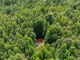 460 Jimmy Fisk Road - Photo 11