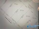 1 Acre Highway 67 - Photo 4