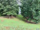 Lot 230 Lookout Mountain Drive - Photo 3