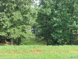 Lot 230 Lookout Mountain Drive - Photo 5