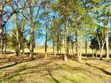 9.7 Acres Breeding Drive - Photo 3