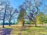 9.7 Acres Breeding Drive - Photo 6