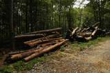 2194 County Road 189 - Photo 42