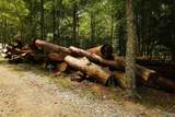 2194 County Road 189 - Photo 43