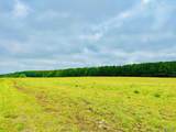 20 Acres Highway 72 - Photo 14