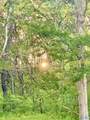 4.94 Acres Lyons Road - Photo 1