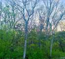 4.94 Acres Lyons Road - Photo 3