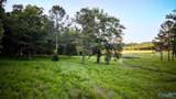 18 Acres South Chapel Hill Road - Photo 7