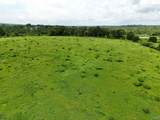 17.63 AC Brown Road - Photo 10