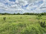 17.63 AC Brown Road - Photo 11