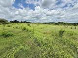 17.63 AC Brown Road - Photo 12