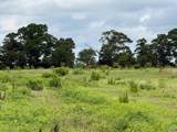 17.63 AC Brown Road - Photo 13