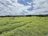 17.63 AC Brown Road - Photo 15