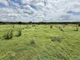 17.63 AC Brown Road - Photo 16