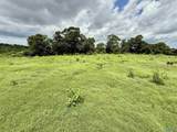 17.63 AC Brown Road - Photo 17