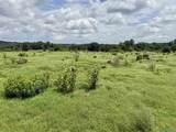 17.63 AC Brown Road - Photo 18