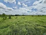 17.63 AC Brown Road - Photo 21