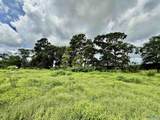 17.63 AC Brown Road - Photo 22