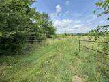 17.63 AC Brown Road - Photo 24