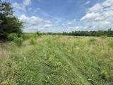 17.63 AC Brown Road - Photo 25