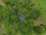 17.63 AC Brown Road - Photo 9