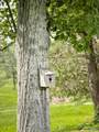 4998 County Road 196 - Photo 37