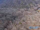 45 +/- Acres Shooting Star Trail - Photo 10