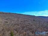 45 +/- Acres Shooting Star Trail - Photo 13