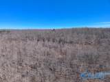 45 +/- Acres Shooting Star Trail - Photo 16