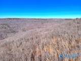 45 +/- Acres Shooting Star Trail - Photo 7