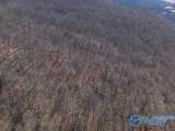 45 +/- Acres Shooting Star Trail - Photo 9