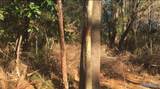 2.4 ACRES Linde Street - Photo 5