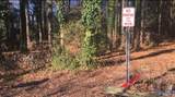 2.4 ACRES Linde Street - Photo 9