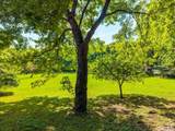 141 Deertrace Parkway - Photo 27