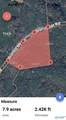 8 acres Bishop Mountain Road - Photo 11