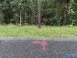 8 acres Bishop Mountain Road - Photo 15